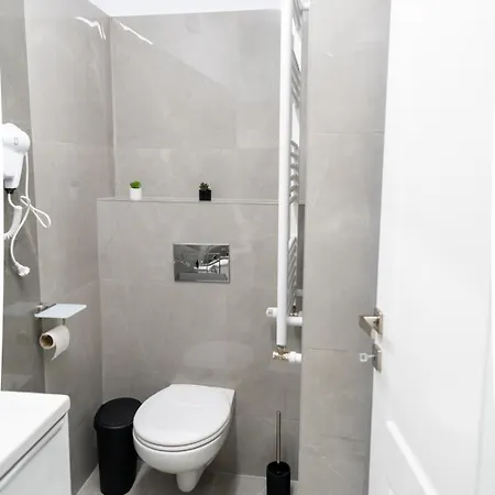 Apartment Republicii Loft *