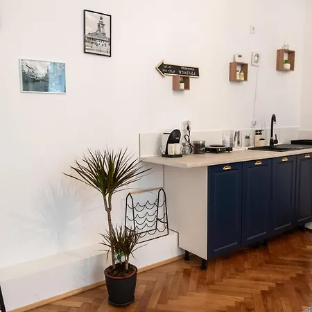 Apartment Republicii Loft *