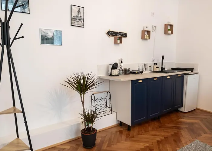 Apartment Republicii Loft *